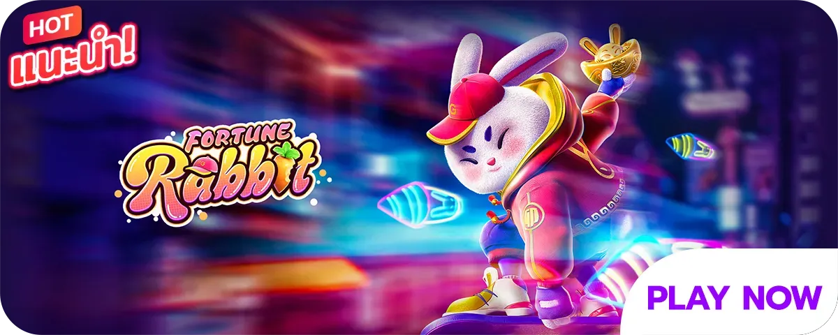 mtk89 rabbit